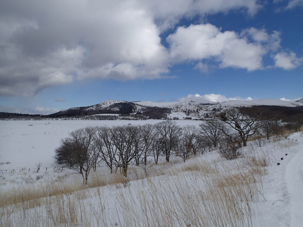 八島湿原の冬の風景を撮影した写真