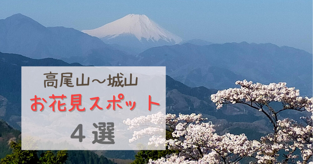 【高尾山～城山】春のお花見ハイキングが楽しめるおすすめスポット４選