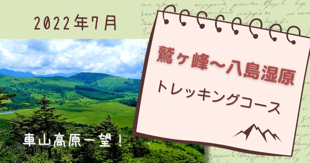 【鷲ヶ峰～八島湿原往復】車山高原が一望のトレッキングコースを紹介