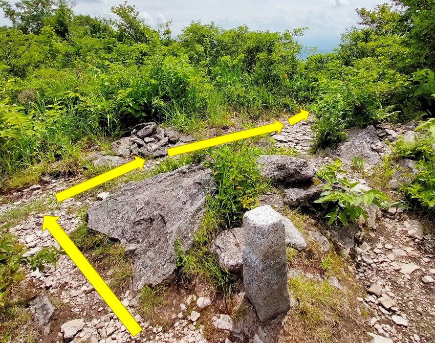 鷲ヶ峰登山道の分岐を撮影した写真