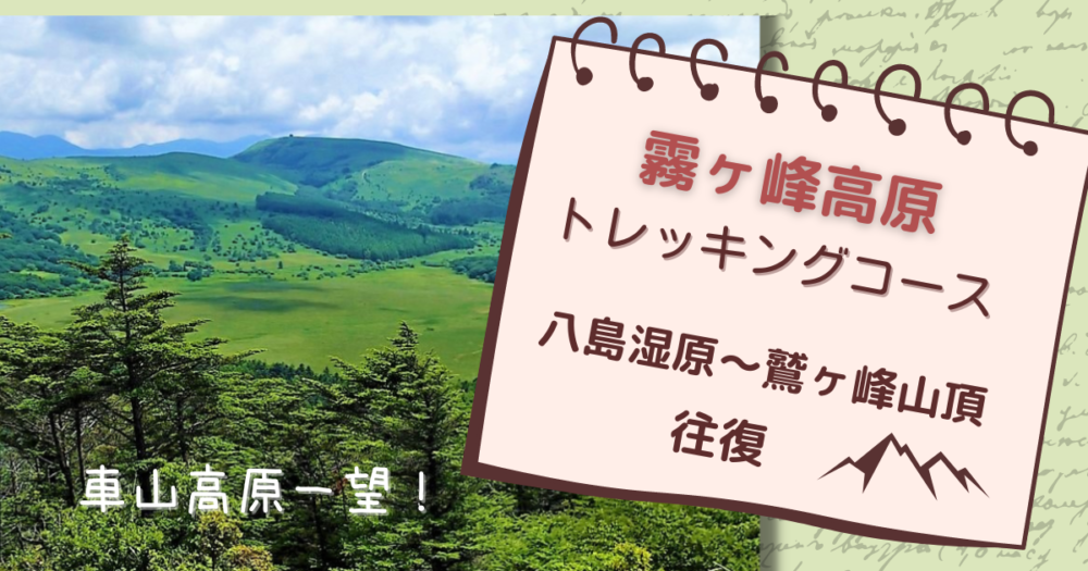 【霧ヶ峰高原】八島湿原～鷲ヶ峰を往復する絶景トレッキングコースを紹介