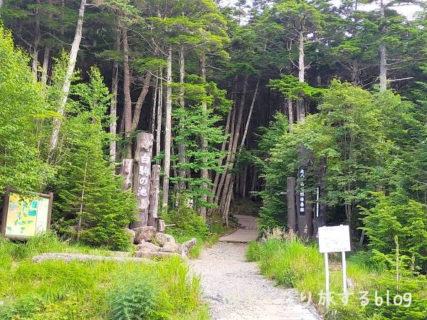 白駒荘への入り口を撮影した写真