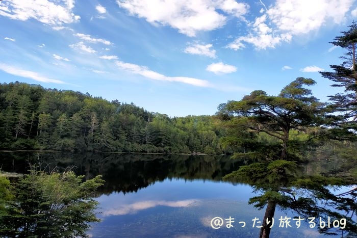 白駒荘の客室から撮影した白駒の池の写真