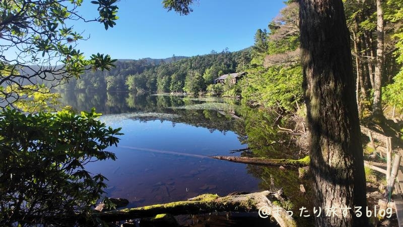 白駒の池を散策した時に撮影した写真